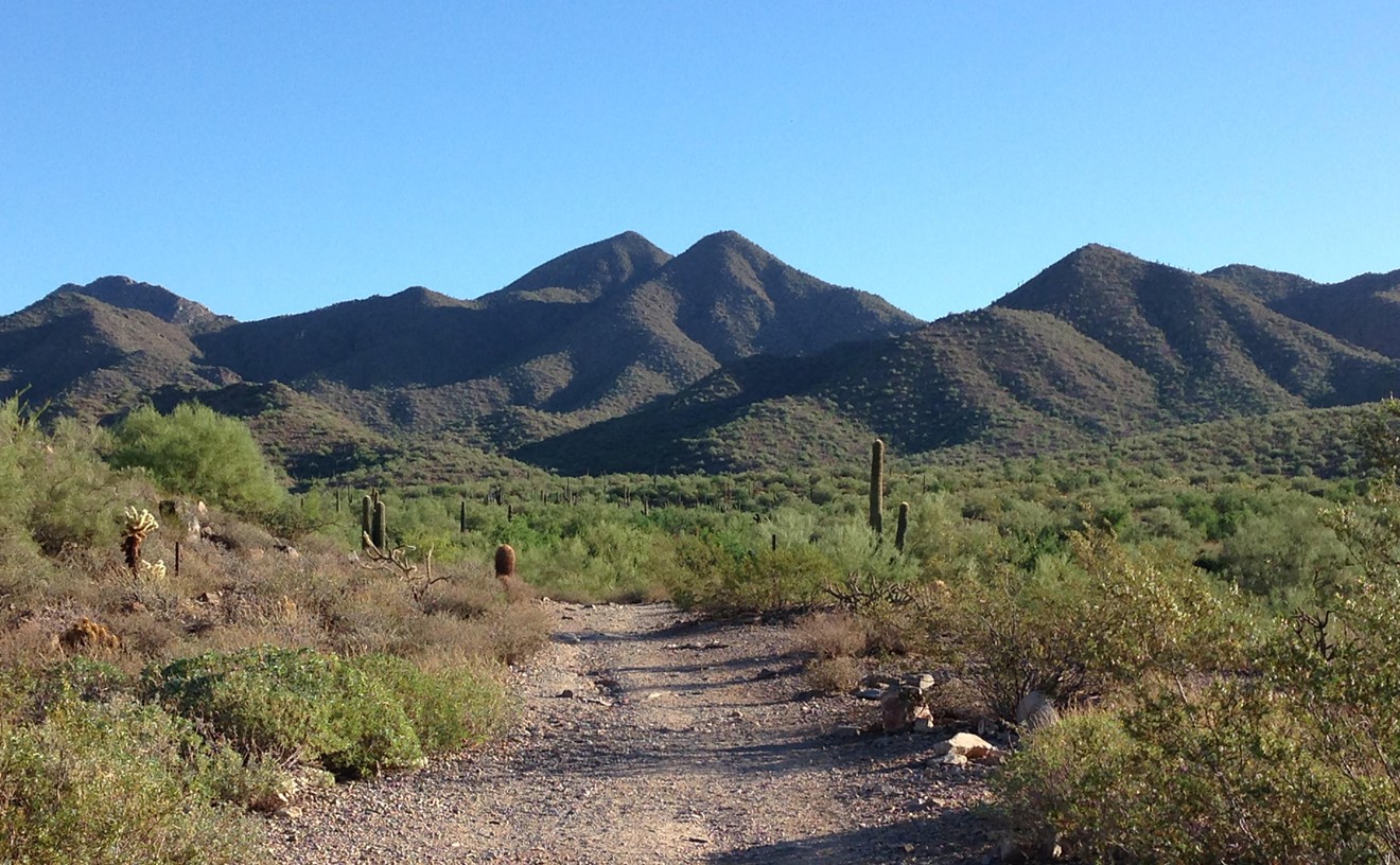 7 dog-friendly hiking trails in metro Phoenix
