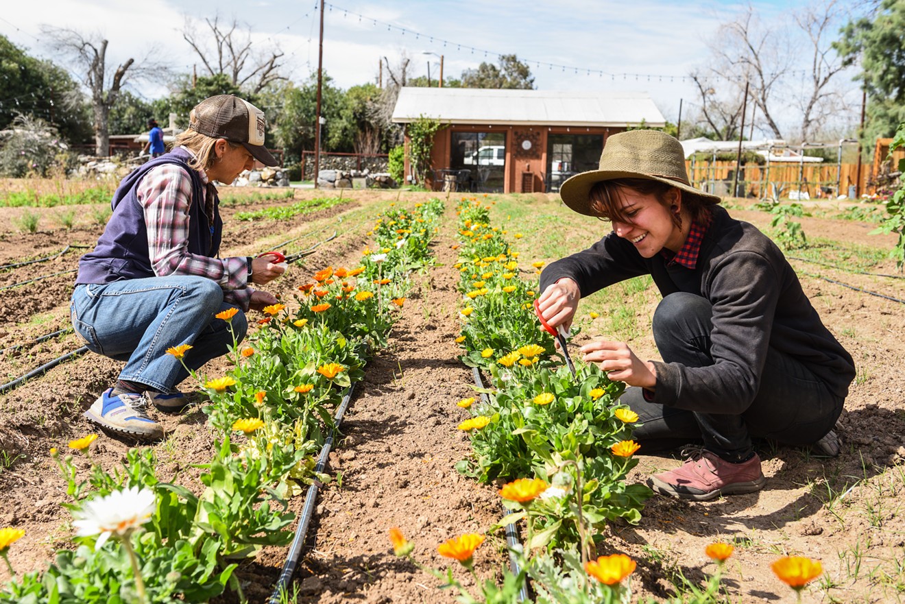 In-house growers Melissa Hoffman and Ashley Stilwell tend to the garden at The Farm at South Mountain.
