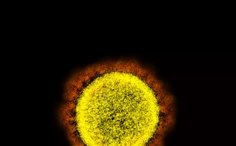 Image: 1,413 Coronavirus Cases Confirmed in Arizona, 29 People Have Died