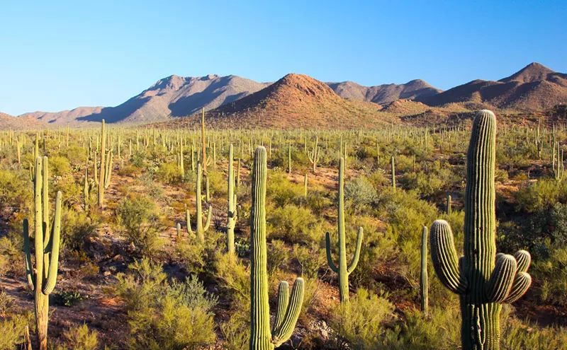 Image: See Arizona natural wonders on Free National Park Day this weekend