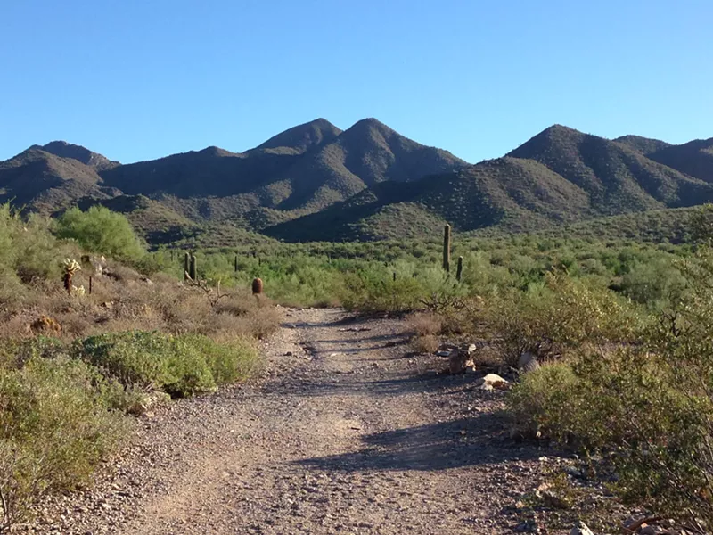 Image: Lost Dog Wash is an ideal trail for new hikers.