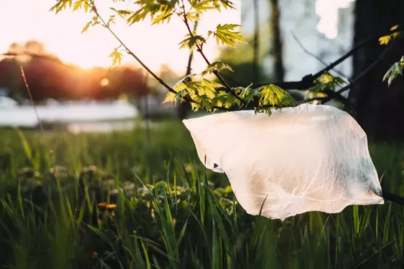 Image: No banning plastic bags in Arizona.