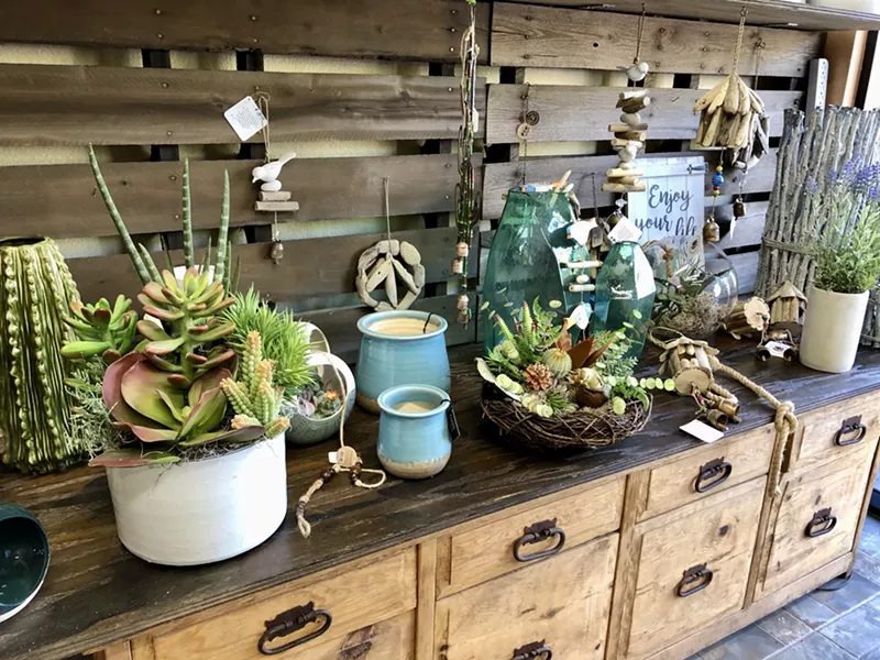 Image: Nothing says "I love you" like a succulent.