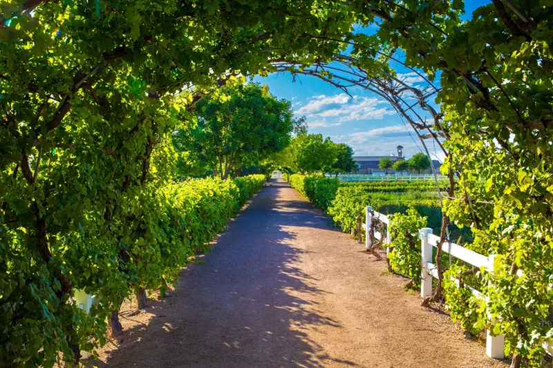 Image: Introducing the Fresh Foodie Trail GeoTour, which aims to highlight the east Valley's impressive farm scene.