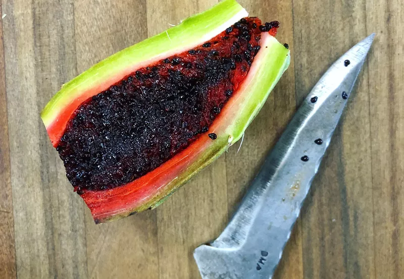 Image: Saguaro fruit, one of the ephemeral Sonoran ingredients of New Arizonan cuisine