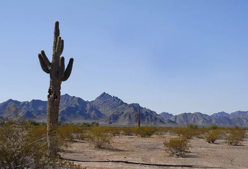 Image: 174 Power Global sees the Arizona desert near Quartzsite as a great spot for solar energy.
