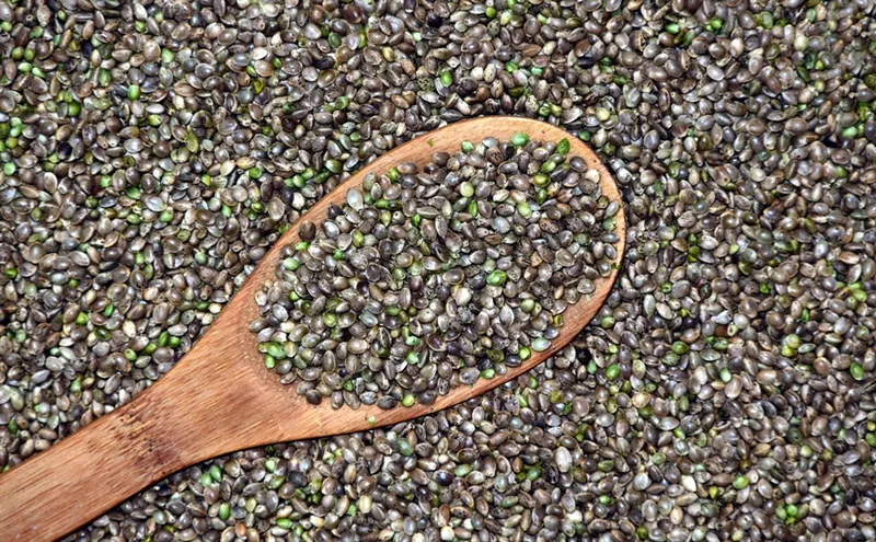 Image: A Proposed Law Would Let Arizonans Grow Pot, but Where Will Seeds Come From?