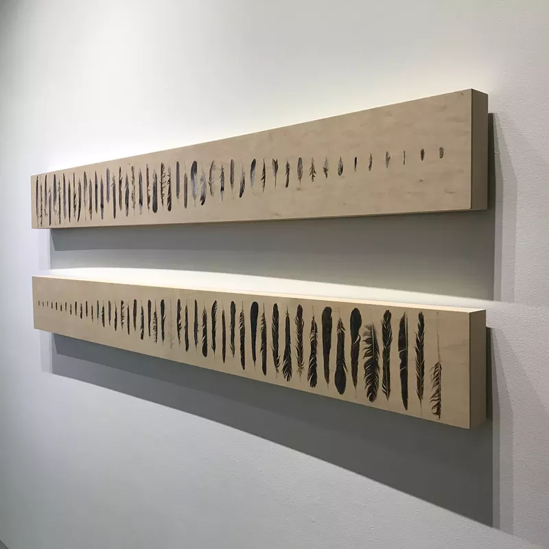 Image: Alexandra Bowers' work was part of "Flora and Fauna" at Mesa Contemporary Arts Museum.