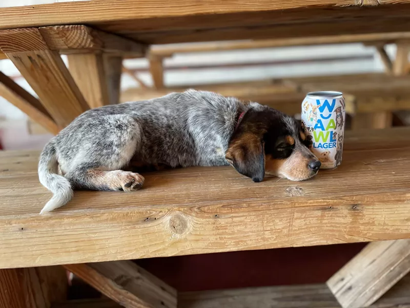 Image: Drink beer, support pet adoption. Cool.