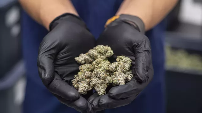 Dried cannabis nuggs