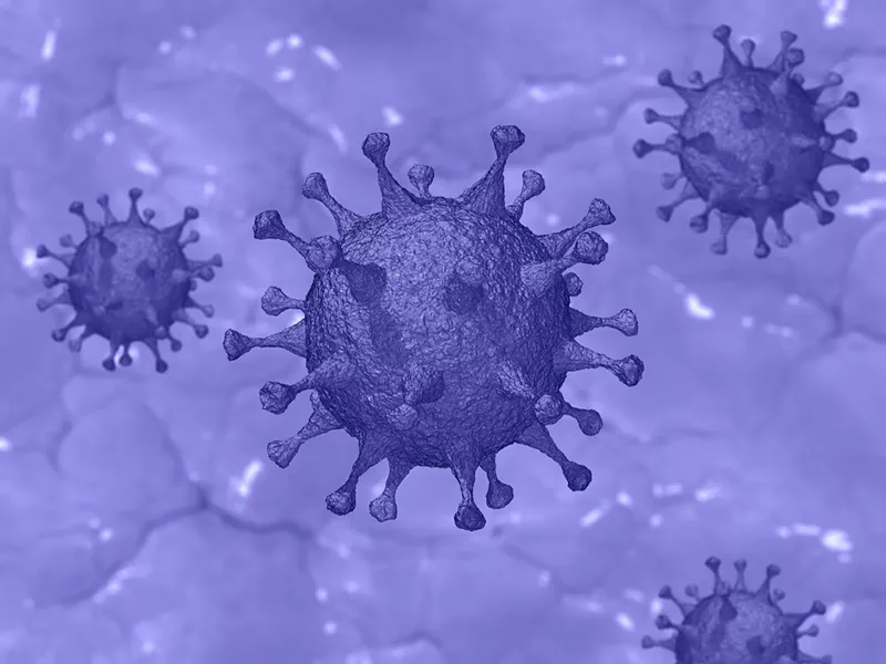Image: The 2019 novel coronavirus.