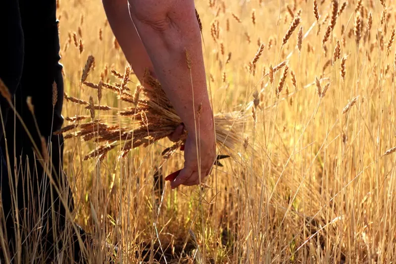 Image: As the world stress-bakes, online sales spike for Hayden Flour Mills.