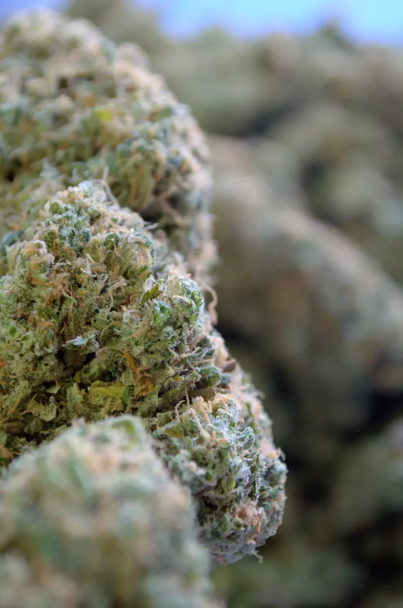 Image: Unless you have a medical marijuana card, any amount of this is still a felony in Arizona.