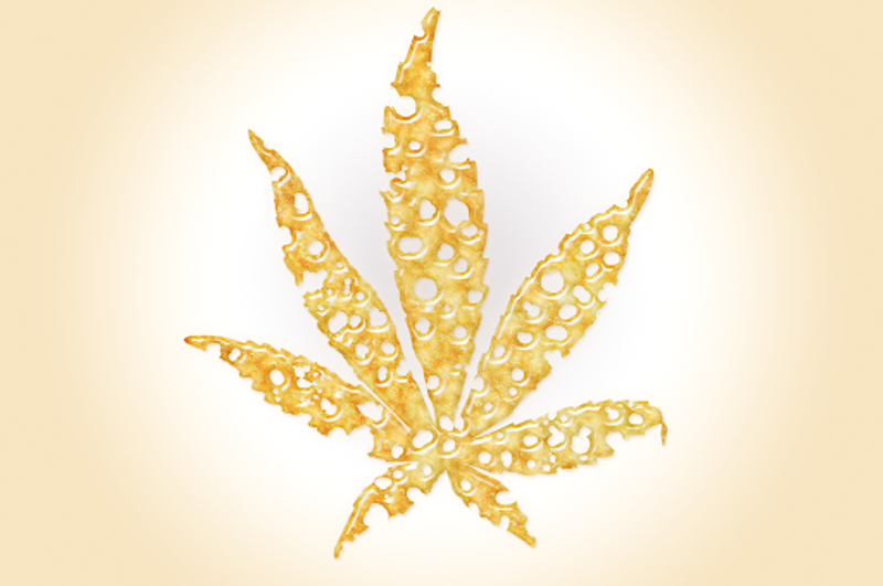 Image: A marijuana flower made out of bronze oil