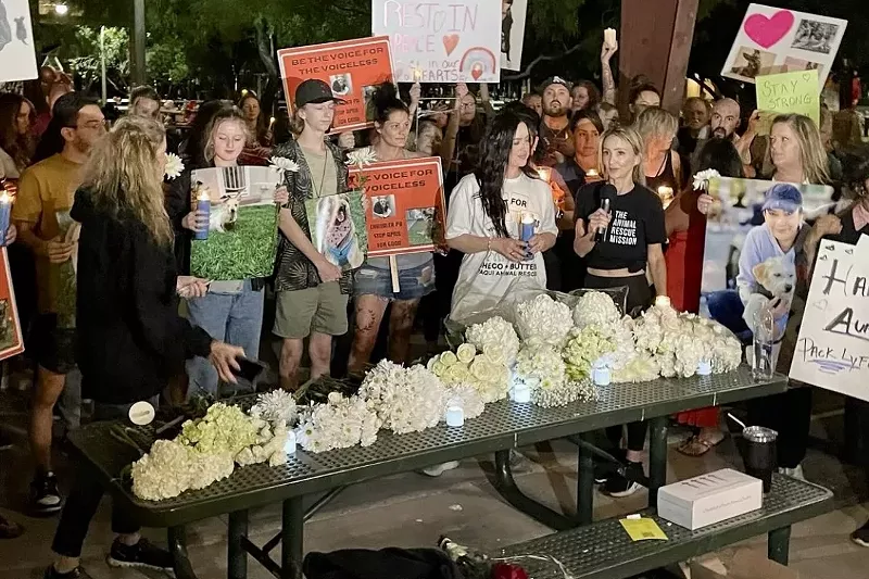Image: Animal advocates held a vigil to remember the dogs held in April McLaughlin's home until a Sept. 22 police raid. The vigil took place Sept. 30 in Chandler's Tumbleweed Park.