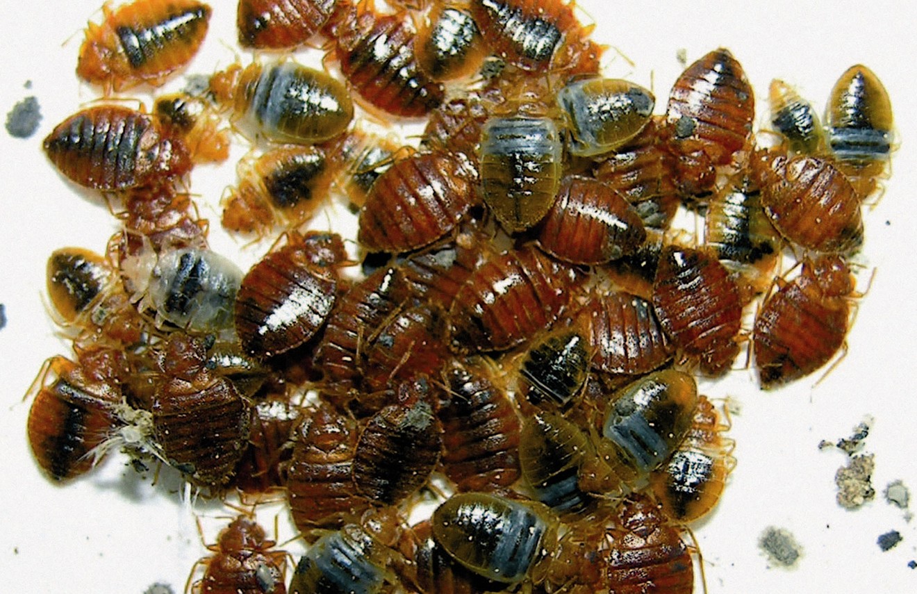 A state DES office has closed temporarily due to beg bug infestation following Phoenix New Times' reports.