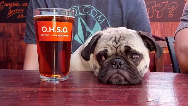 Image: O.H.S.O.'s dog-friendly patio landed it and five Valley restaurants on Yelp's list of top 100 places to eat with your dog in the U.S.