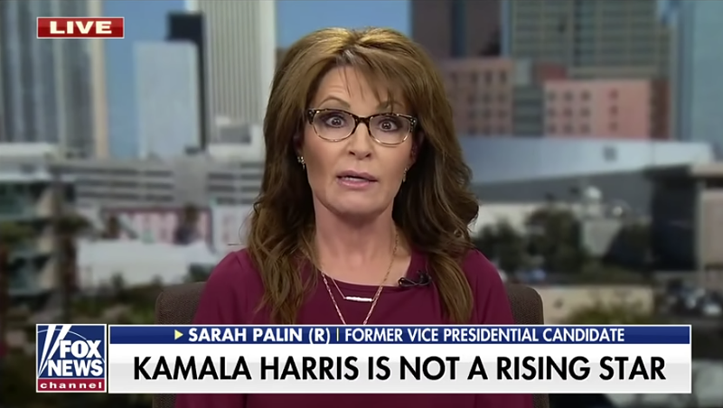 Image: Sarah Palin is the former Governor of Alaska and was the Republican candidate for vice president alongside then-Arizona Senator John McCain.