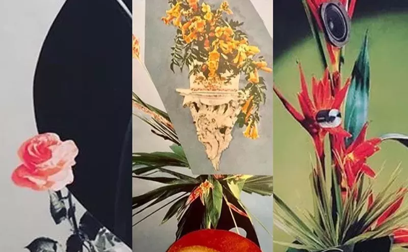 Image: Free Things to Do This Week