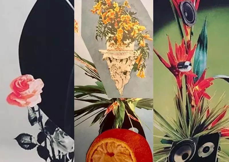Image: Daniel Shepherd delivers flower power at Royse Contemporary.