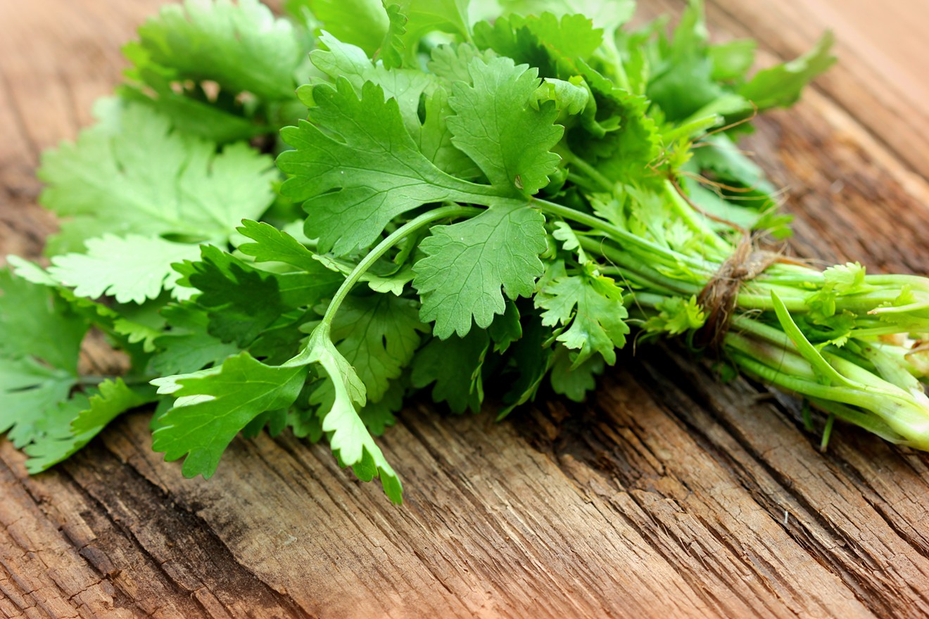 There is way too much cilantro in this picture.
