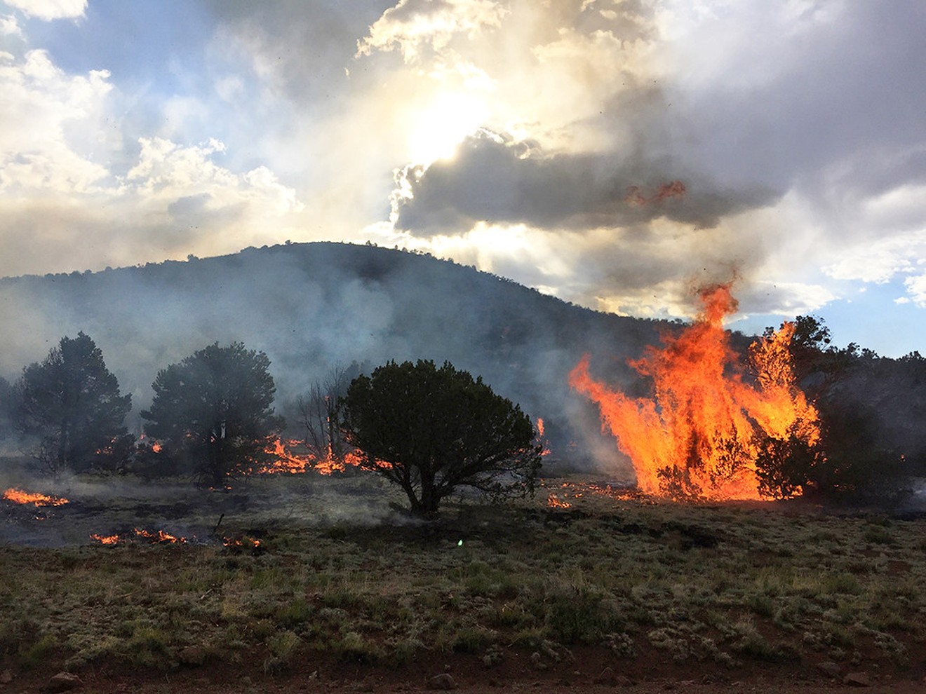 The 2016 Bert Fire in northern Arizona.