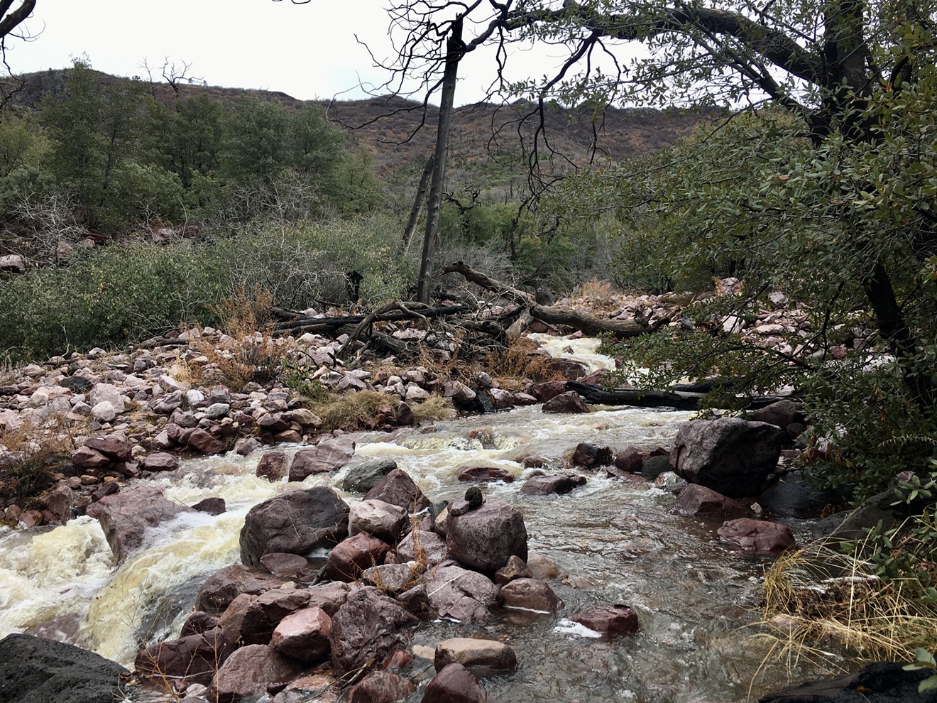 The vast majority of Arizona streams and waterways would lose Clean Water Act protections under the Trump administration's revision of Waters of the United States.