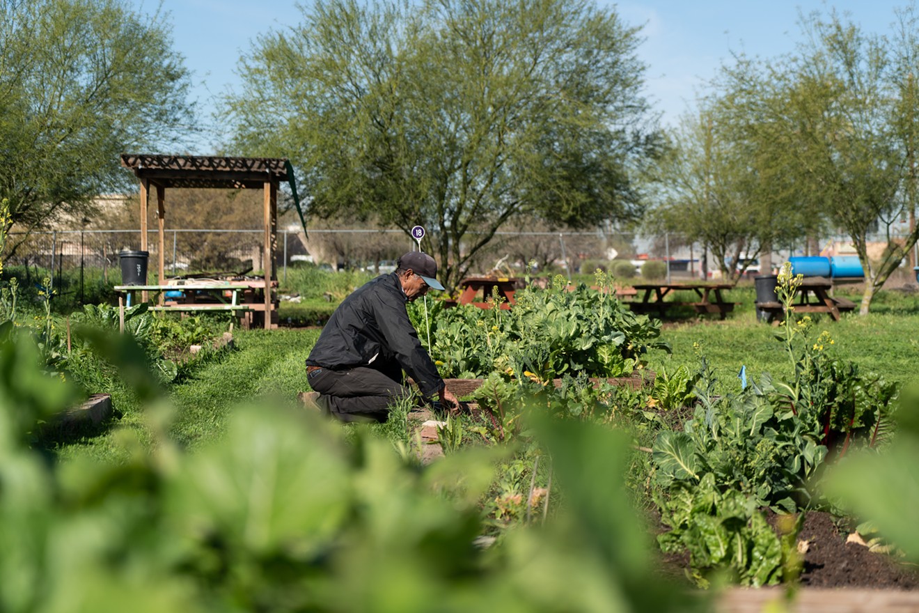 "Farming is a profession," says Greg Peterson, an urban farmer in Phoenix.