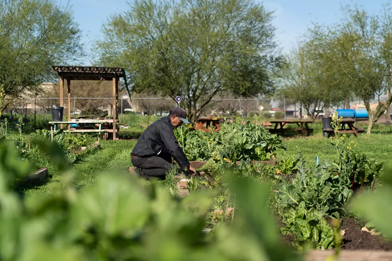 Image: "Farming is a profession," says Greg Peterson, an urban farmer in Phoenix.