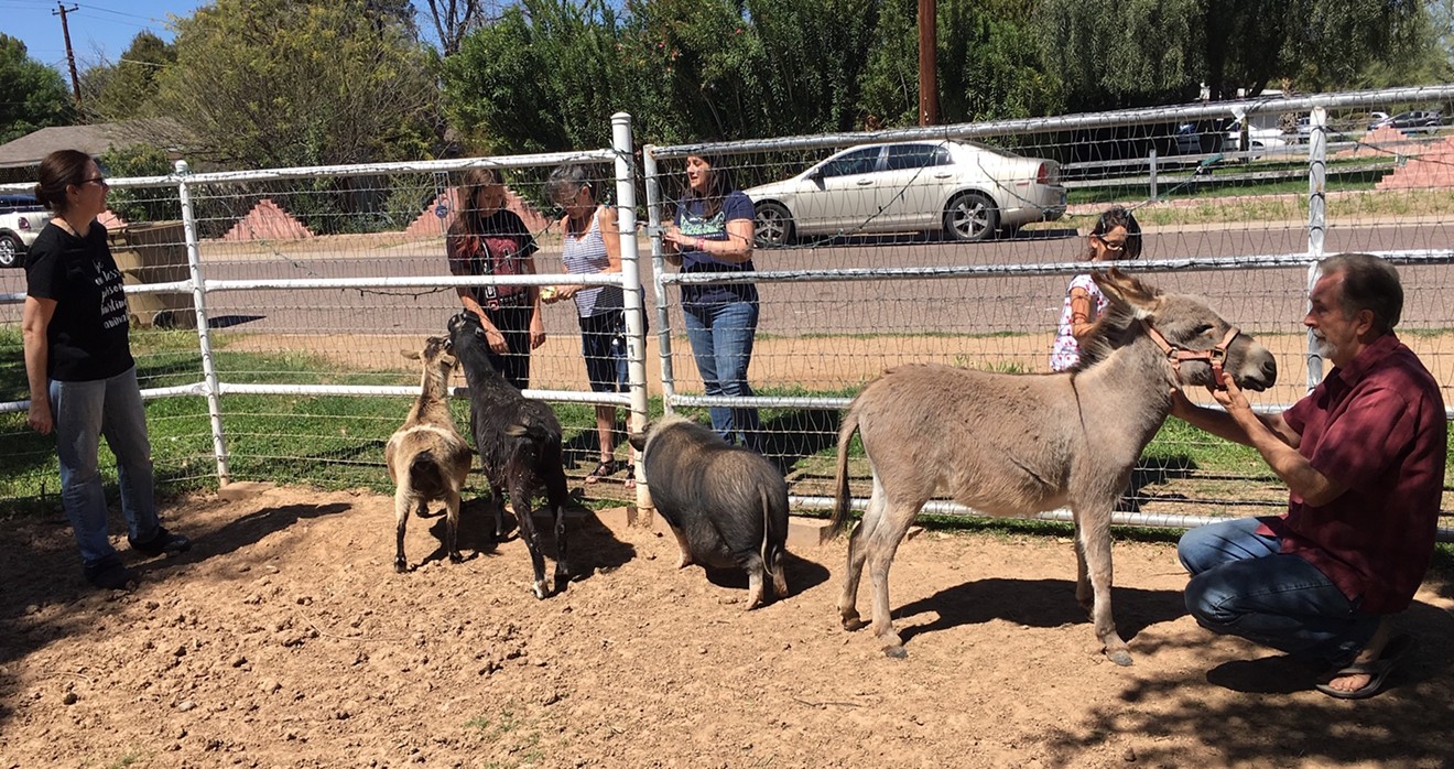 Visitors regularly stop by at the Backyard Barnyard Foundation and Sanctuary in central Phoenix .