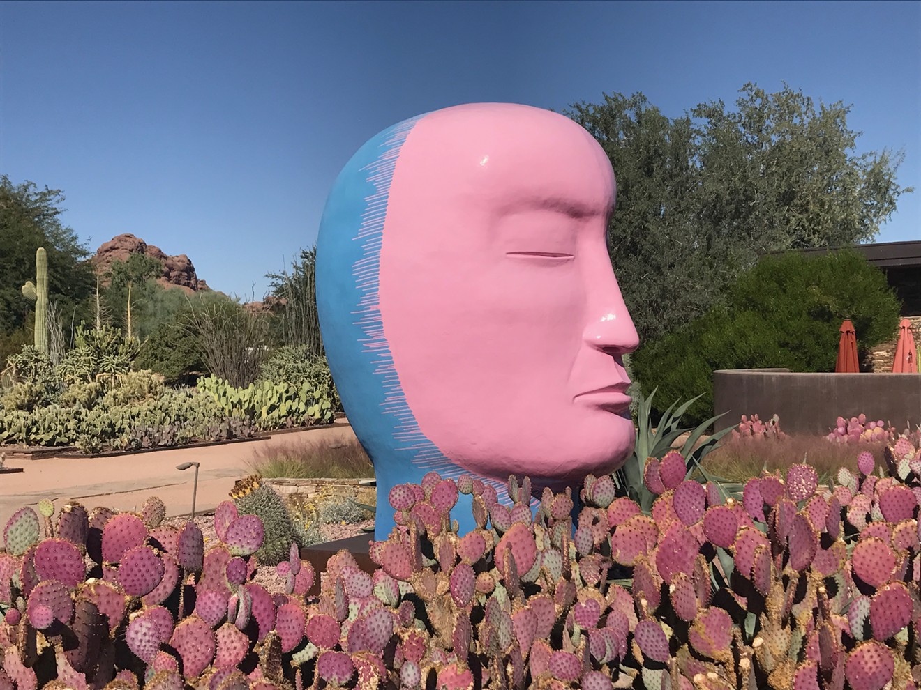 See Velocity by Jun Kaneko after you enter the Desert Botanical Garden.
