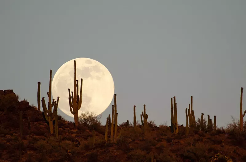 Image: A full moon above a mountain covered in cacti.