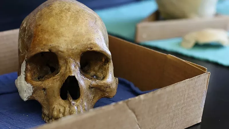 Image: Skulls at the Medical Examiner's Forensic Lab.