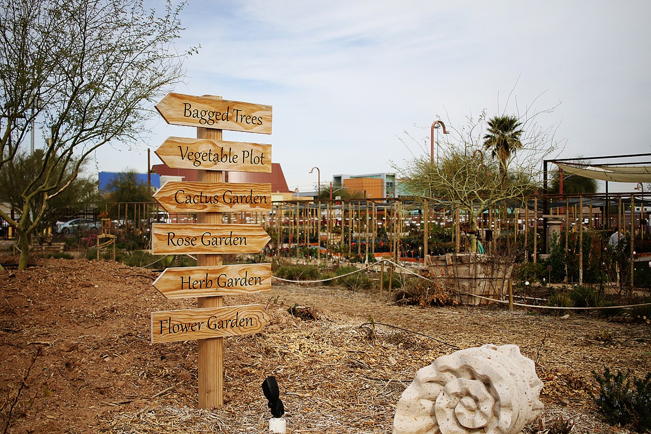 The signs are necessary to navigate central Phoenix's Agave Farms.