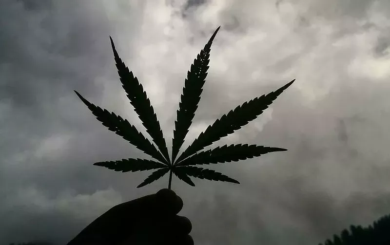 Image: It's easy to get a medical marijuana card in Arizona. Let us show you how easy.