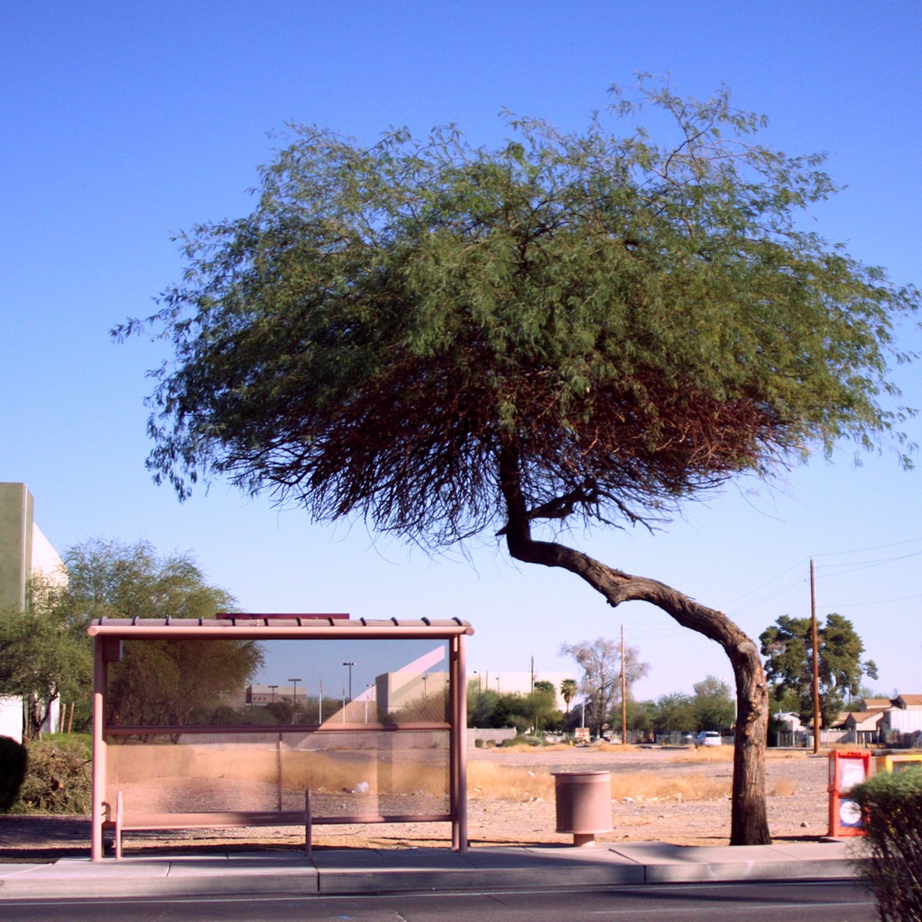 A citizen-led effort is trying to push the city of Phoenix to make good on an 8-year-old plan to use more trees for shade.