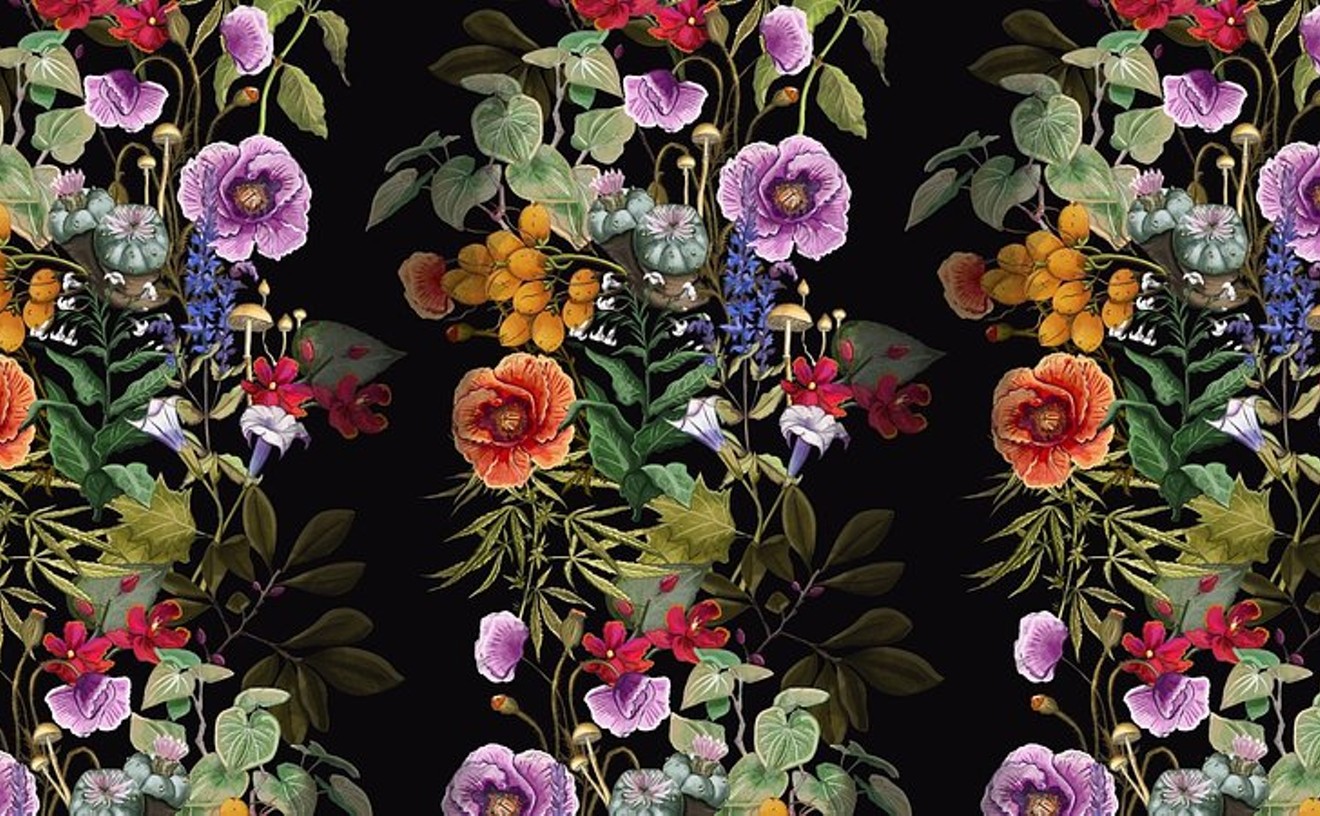 This Phoenix design firm sells wild, weird wallpaper that's anything but boring