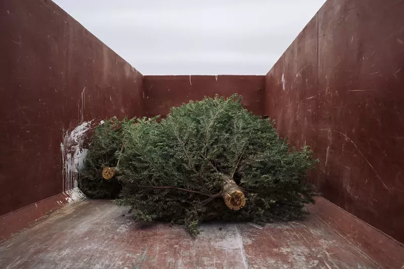 Image: christmas trees in a metal bin