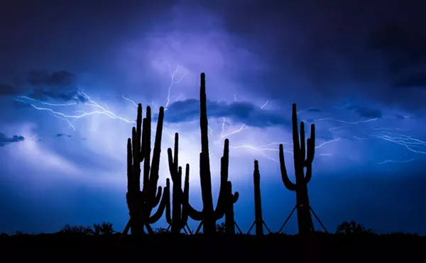 Image: Map: Which parts of Phoenix had the most rainfall last night?