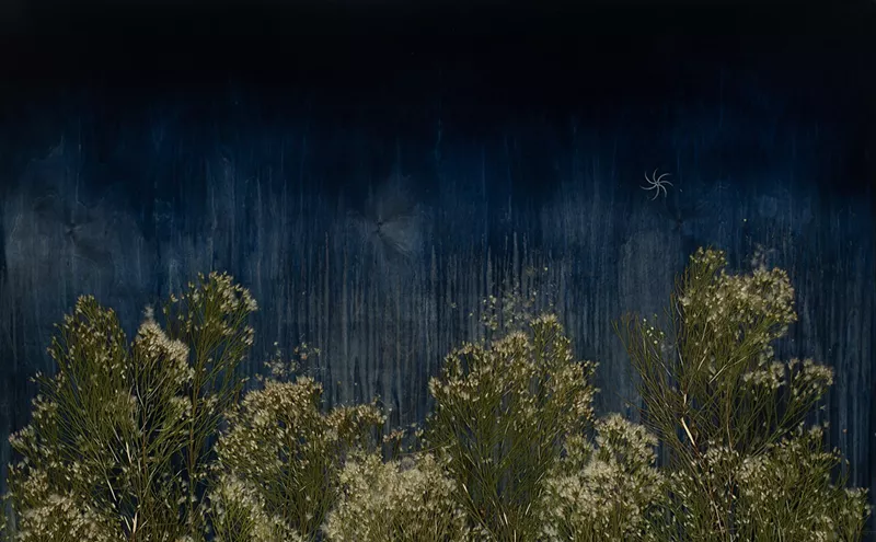 Image: Mayme Kratz's 'Dark Garden' Art Exhibit at Lisa Sette Gallery Explores the Mysteries of the Desert