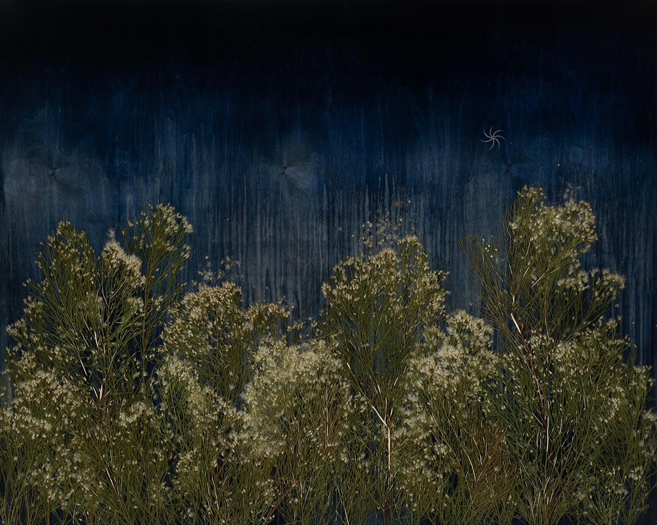 Mayme Kratz, Dark Garden 7, 2023, resin, rabbit brush, cicada exoskeletons on panel, 48" x 60"