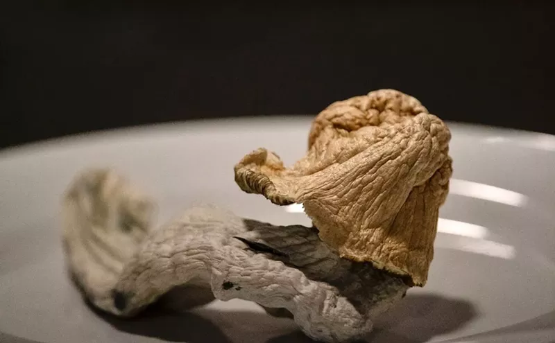 Image: Mushroom laws are fueling psychedelic comeback. Is Arizona next?
