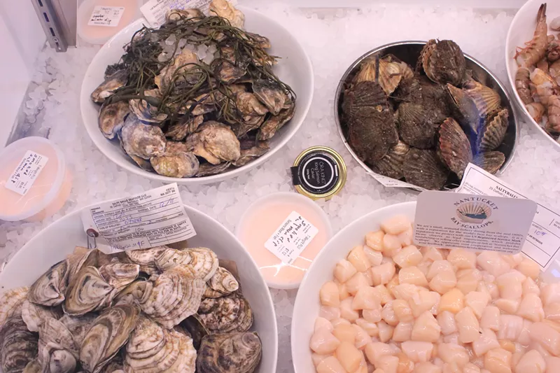 Image: Bivalve city