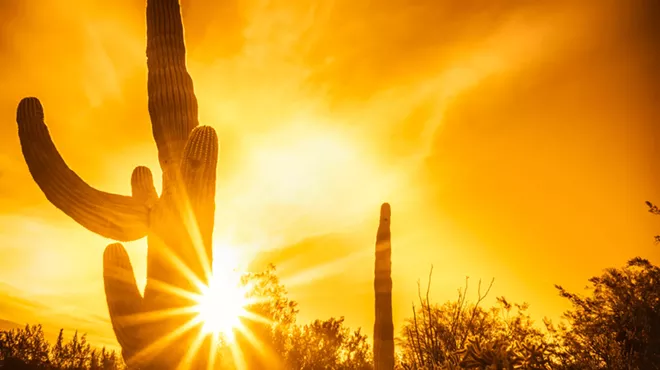 a sun peeking through a cactus in the desert