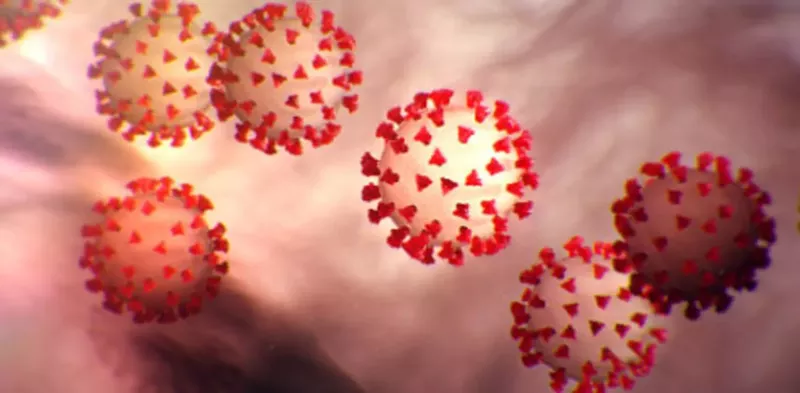 Image: The 2019 novel coronavirus.