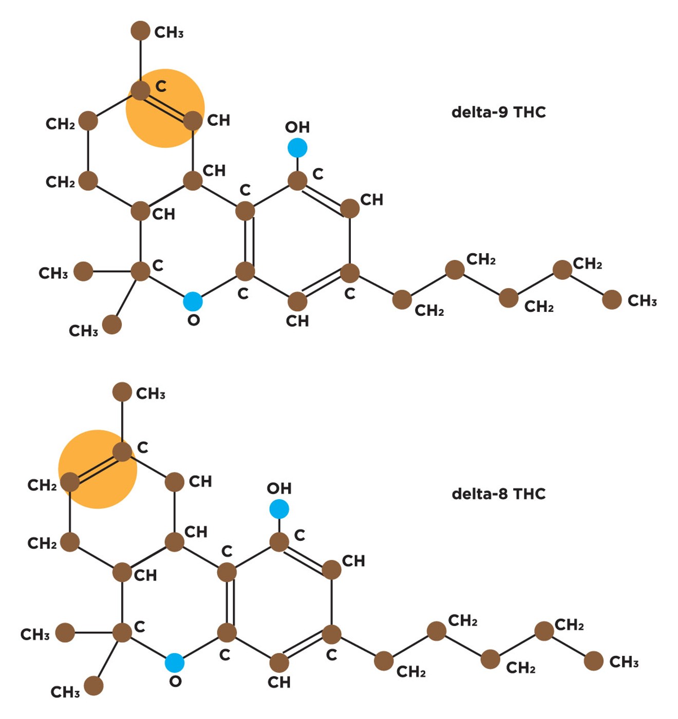 The Delta 8 THC molecule differs from Delta 9 due to the location of one double bond in its chain of carbon atoms (highlighted in orange).