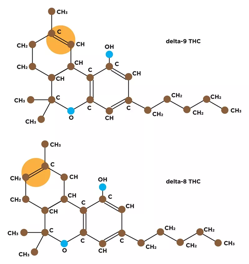 Image: The Delta 8 THC molecule differs from Delta 9 due to the location of one double bond in its chain of carbon atoms (highlighted in orange).