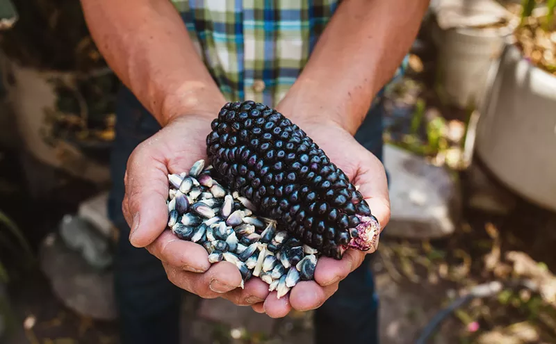 Image: Online cooking show, lifestyle blog encourage use of Indigenous ingredients