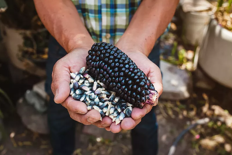 Image: Native chefs are working to share knowledge of incorporating Indigenous ingredients into everyday meals.