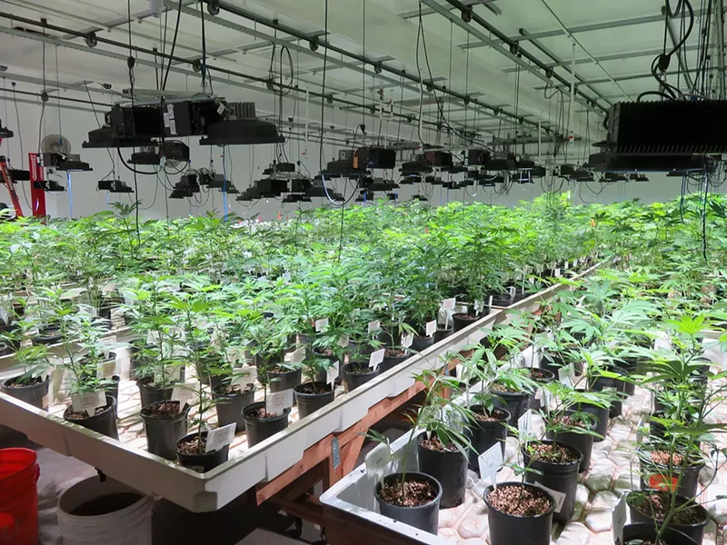 Image: A proposal to tax medical marijuana dispensaries failed at the Phoenix City Council in October despite the work of Bryan Jeffries, a mayor's aide who also serves as the president of the Professional Fire Fighters of Arizona.